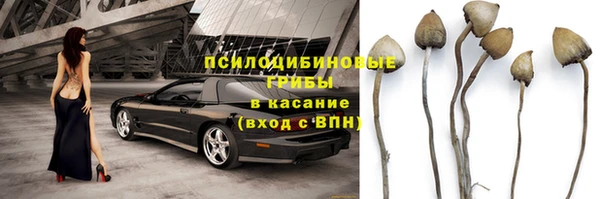 кокаин колумбия Новозыбков